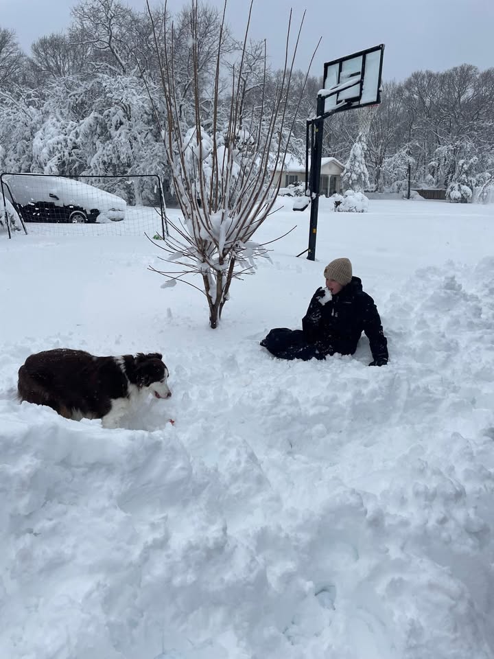 Middle Township Elementary #2