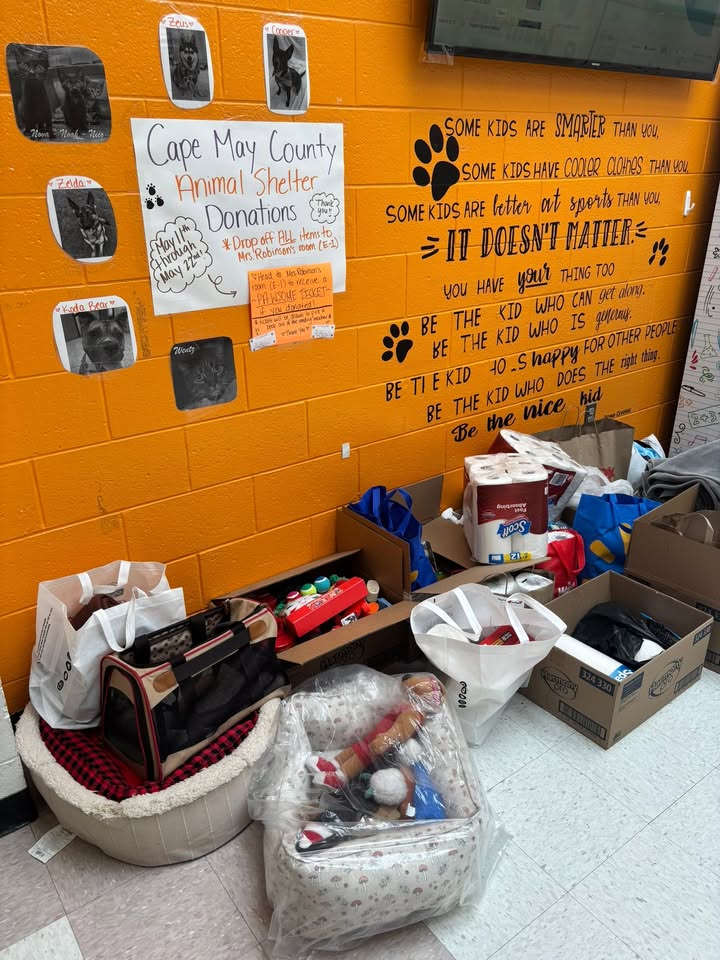Middle Township Elementary #2