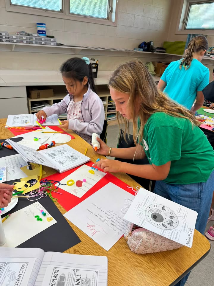 Middle Township Elementary #2